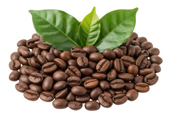 Obraz premium A pile of freshly roasted dark brown coffee beans isolated on transparent background