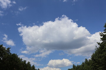 Bright white cumulus clouds drifting across a deep blue sky over green trees