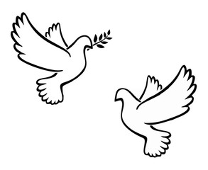White Dove with Olive Branch ...