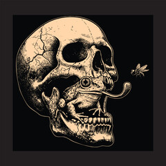 Vintage Engraving Style Skull with Frog Catching Fly - Macabre Nature Illustration