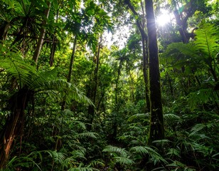 Fototapeta premium Lush tropical forest canopy