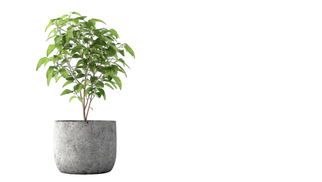 Small potted plant against a dark background - Powered by Adobe