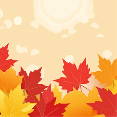 Fototapeta premium red and yellow maple leaves with soft focus light and bokeh background