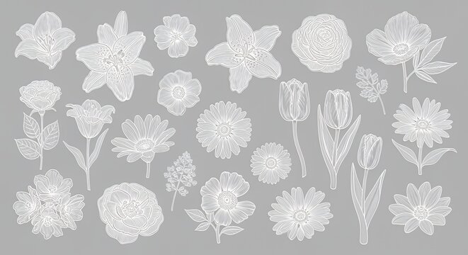 White Floral Line Art Collection on Light Gray Background for Design and Decoration