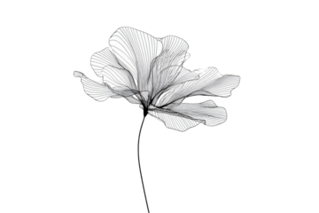 Abstract monochrome flower design