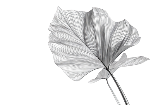 Monochrome botanical leaf