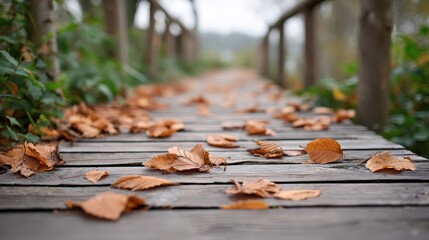 Fototapeta premium Fall background with leaves drifting down onto a path