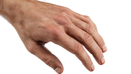 Close-up of a human hand