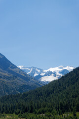 Fototapeta premium Alpine landscape at camping site at Morteratsch in the Swiss Alps on a sunny summer day. Photo taken August 26th, 2025, Morteratsch Pontresina, Switzerland.
