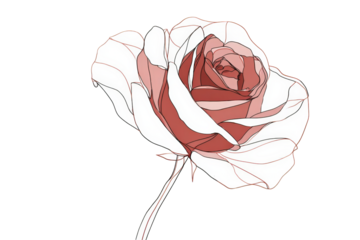 Detailed line art of a rose