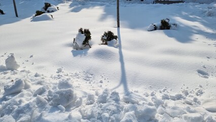Fototapeta premium snow covered ground in the garden