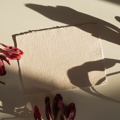 Dried red flower shadows on minimalist paper card. Blank card mockup