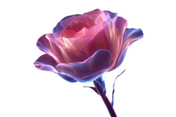 Glowing Rose Image