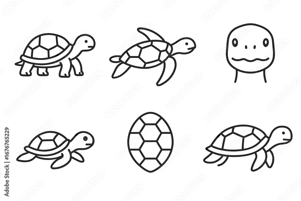 Poster cartoon turtle and tortoise icon set with shell patterns and cute expressions
