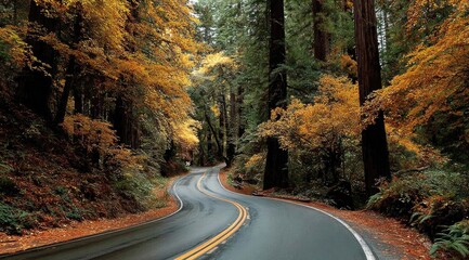 Fototapeta premium Winding road through autumn forest