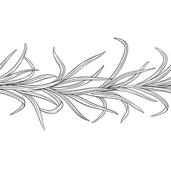 Lemongrass Plant with Leaves Outline Horizontal Seamless Pattern. Essential oil ingredient for cosmetics, spa, aromatherapy, health care, alternative medicine. Vector isolated for design or decoration