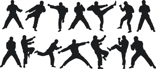 Diverse Karate Silhouette Figures in Dynamic Action Poses.