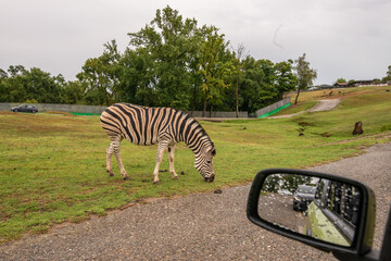Pombia Safari Park