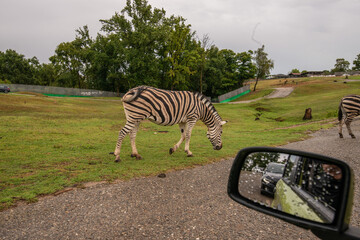 Pombia Safari Park