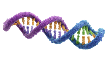 Colorful 3D representation of a DNA double helix.  Complex molecular structure