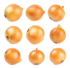 Onion isolated on white background. onion slice. onion rings. Fresh Yellow Onion. Natural, fresh, vegetarian food. Agricultural products. Healthy eating. Vegetables. Farmer's market.