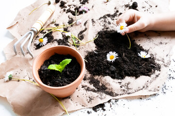 Child planting flowers in soil with gardening tools and pot on brown paper