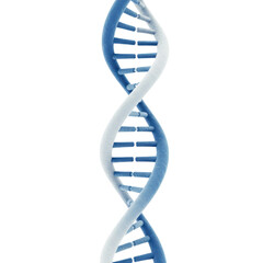 DNA molecule helix structure for medical research isolated PNG with Transparent Background