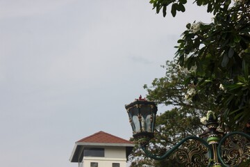 Ornate Street Lamp and Traditional Building Exterior Under Overcast Sky
