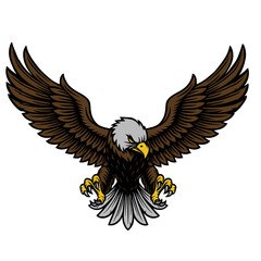 Flying Bald Eagle Attack Vector Illustration