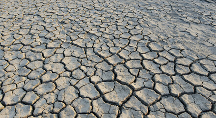 Intricate Earth Textures in Dry Riverbed