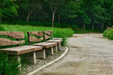 Serene Park Pathway Lined with Wooden Benches Amidst Lush Greenery and Gravel Path Inviting Peaceful Strolls