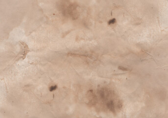 Old papyrus texture. Old paper. Burnt yellow old paper. Historical background. Vintage pattern