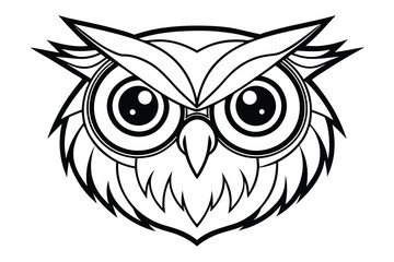 owl on white background