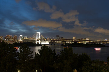 Obraz premium Rainbow Bridge and Tokyo Skyline at Night