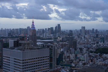 Naklejka premium Aerial View of Tokyo Skyscrapers in Shinjuku
