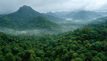 Fototapeta premium Lush, green mountains, a dense forest under a cloudy sky
