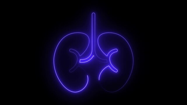 Lung and kidney icon. Glowing Human kidney icon animation. The appearance of neon symbol kidneys. Elements of Medicine in neon style icons.