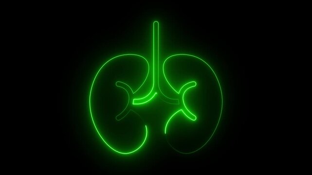 Lung and kidney icon. Glowing Human kidney icon animation. The appearance of neon symbol kidneys. Elements of Medicine in neon style icons.