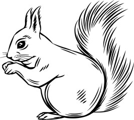 Squirrel Icon.simple flat squirrel icon silhouette vector.this is forest wild animal running standing and jumping vector squirrel.Vector squirrel silhouette view side for retro logo. 