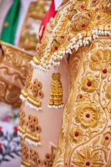 Naklejka premium Close-up of ornate gold embroidery on a matador’s traje de luces during a Practical lesson at Corrida School, Novillada. craftsmanship, culture