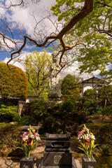仙台の輪王寺の輪廻の森