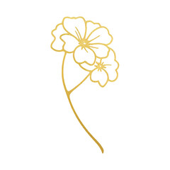 Medical Form/Clipboard - 35