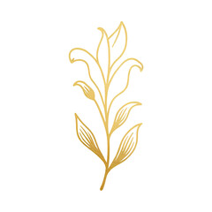 Medical Form/Clipboard - 36