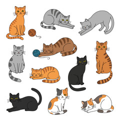 Naklejka premium Cute Handdrawn Various Poses Cat Breed Group Cartoon Illustration