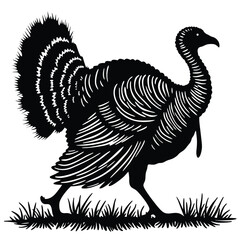 Black silhouette of a turkey walking in grass bird 4