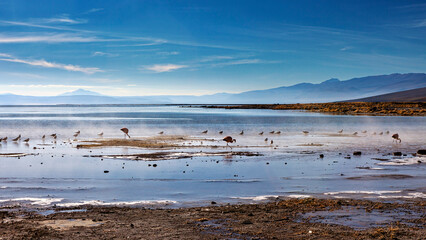The Aguas Termales de Polques in Bolivia