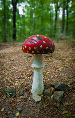 Artistic wooden mushroom sculpture with a bright red cap and white dots displayed in the forest near Lillafüred, Hungary.
