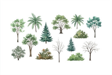 Fototapeta premium Watercolor Trees Collection