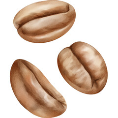 Watercolor Illustration of Coffee Beans