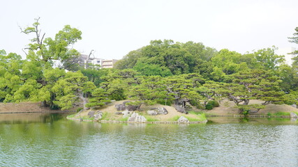 대 자연